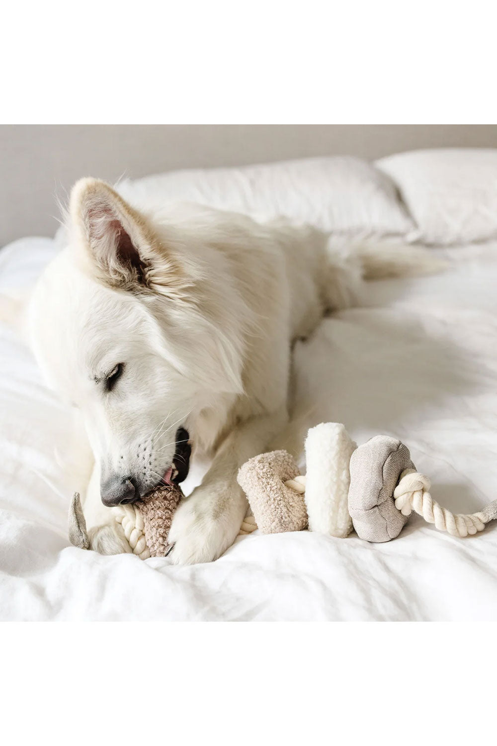 Lambwolf Collective BLOCS