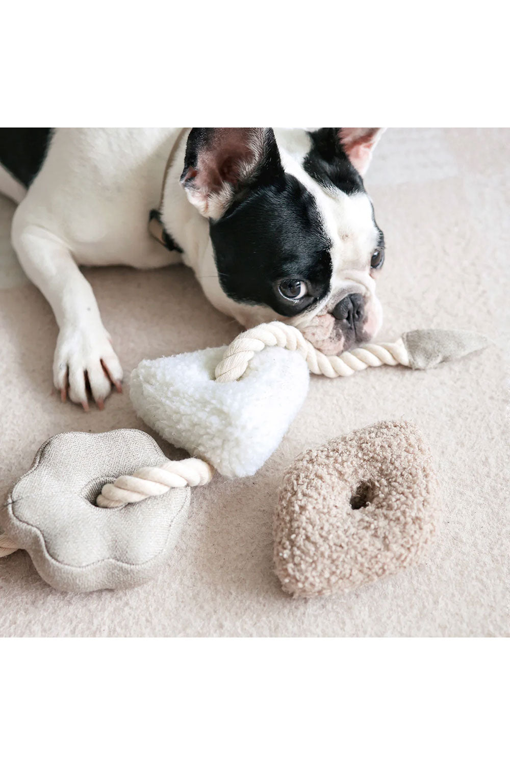 Lambwolf Collective BLOCS