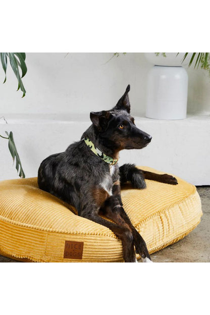 NICE DIGS ANIMAL DOG COLLAR