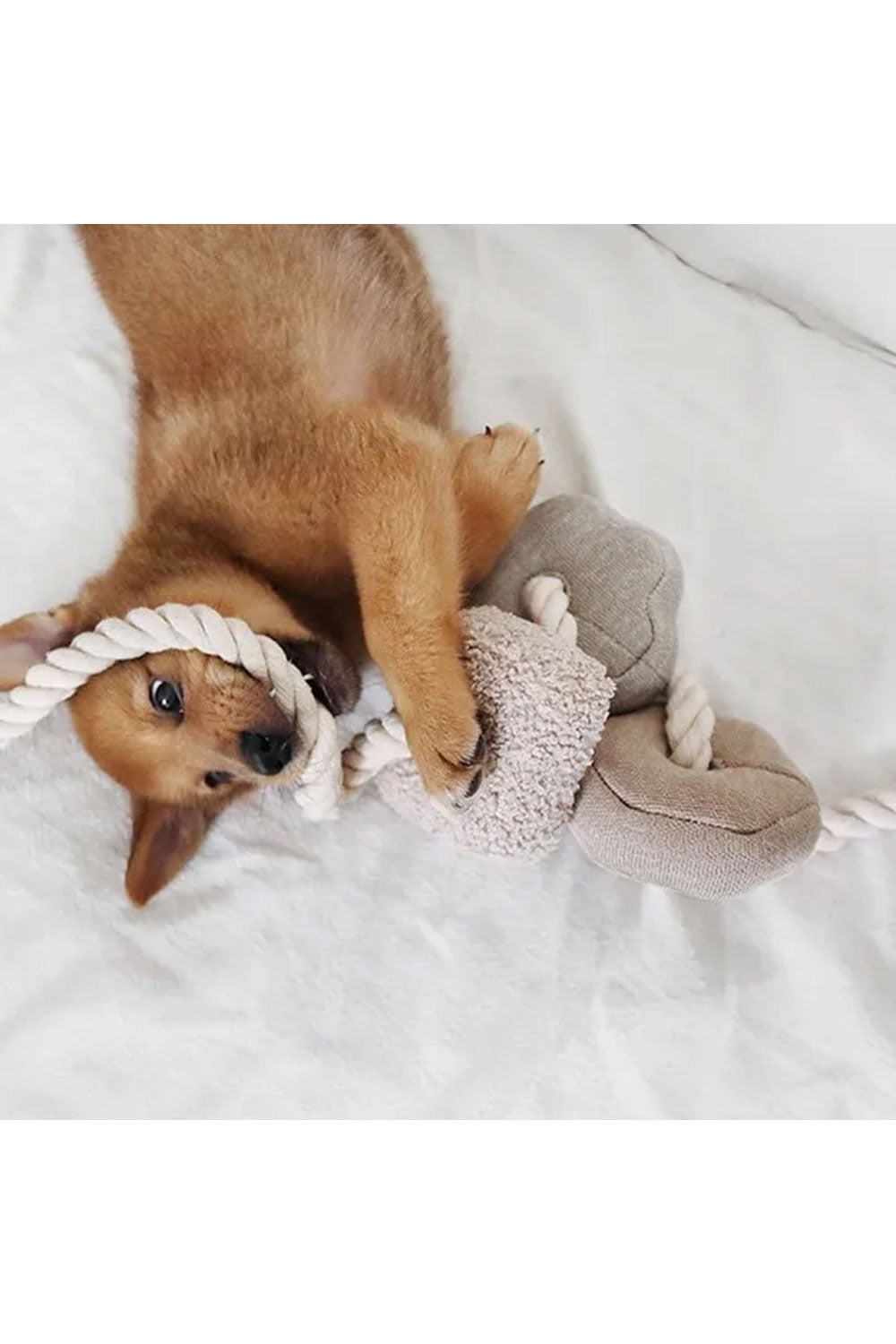 Lambwolf Collective BLOCS