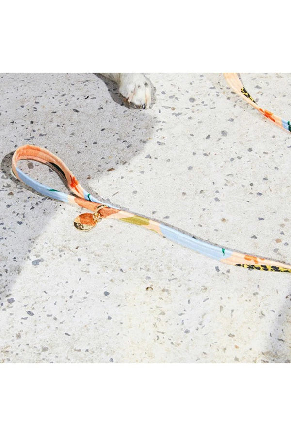 NICE DIGS
BOULDER CANYON DOG LEASH