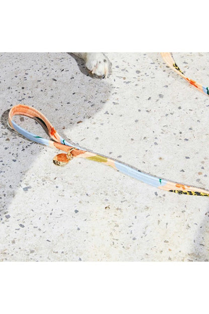 NICE DIGS
BOULDER CANYON DOG LEASH