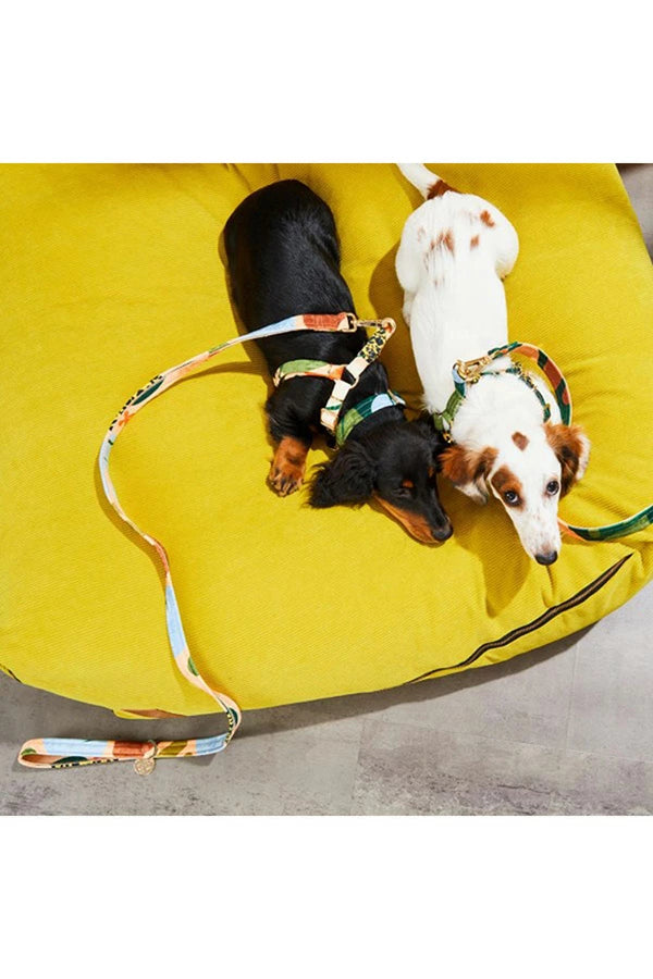 NICE DIGS
BOULDER CANYON DOG LEASH