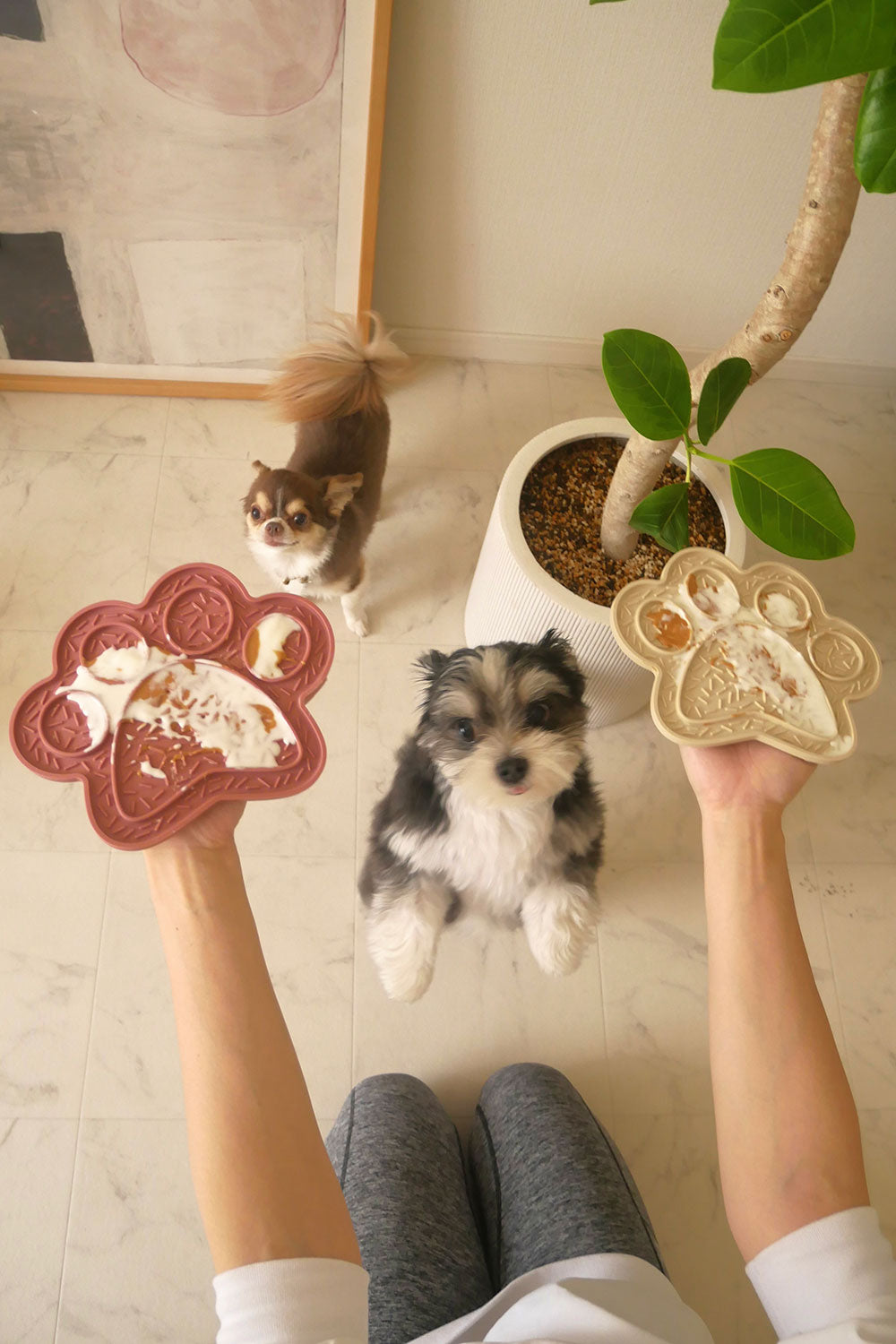 mellowbear LICK MAT_PAW 足型 / PINK