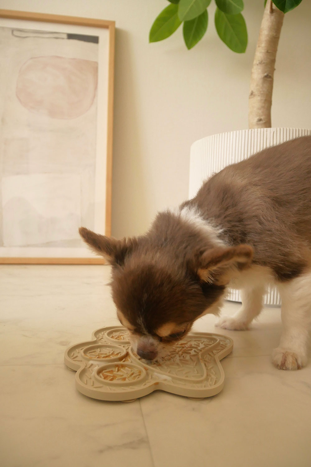 mellowbear LICK MAT_PAW 足型 / BEIGE