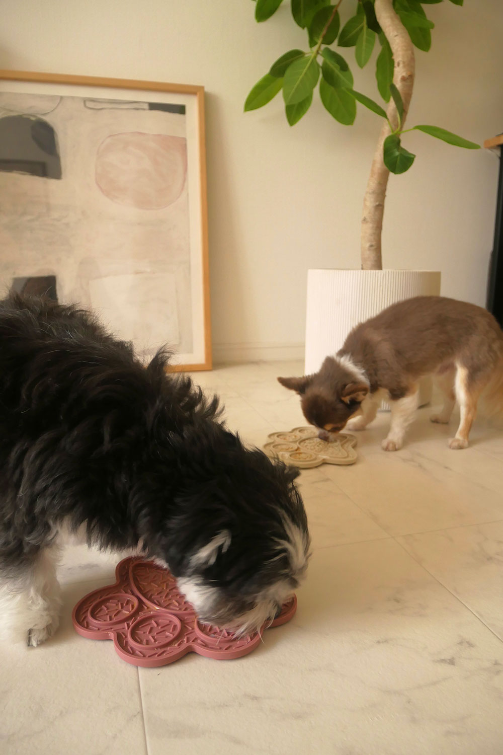 mellowbear LICK MAT_PAW 足型 / PINK