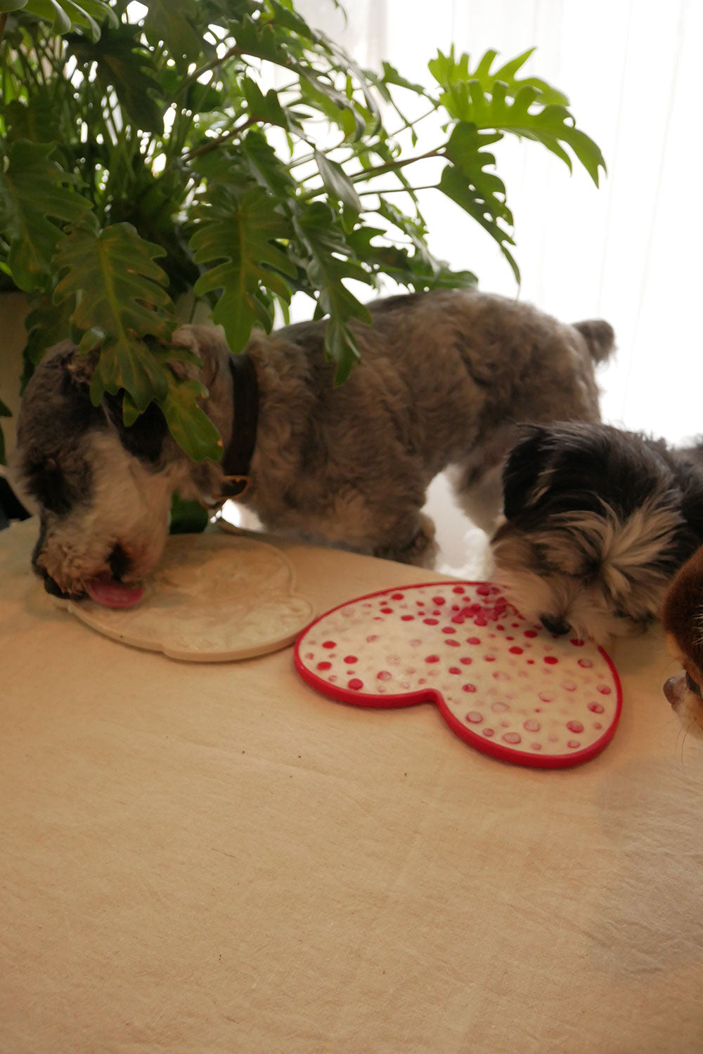 mellowbear LICK MAT_PAW 足型 / PINK