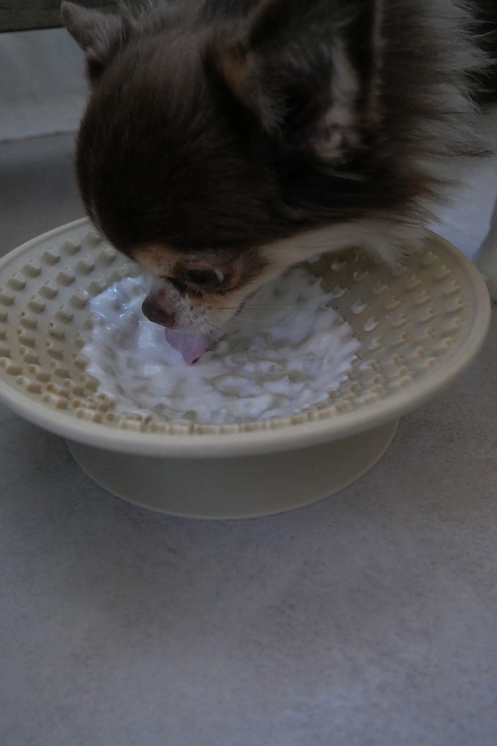 mellowbear MELLOWBOWL_安定型