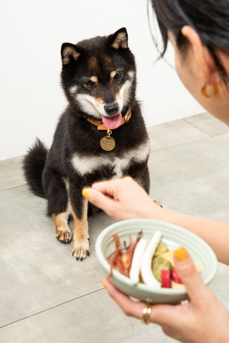犬の一日 鶏とさかスティック